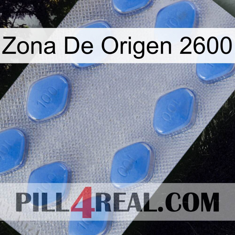 Home Zone 2600 21